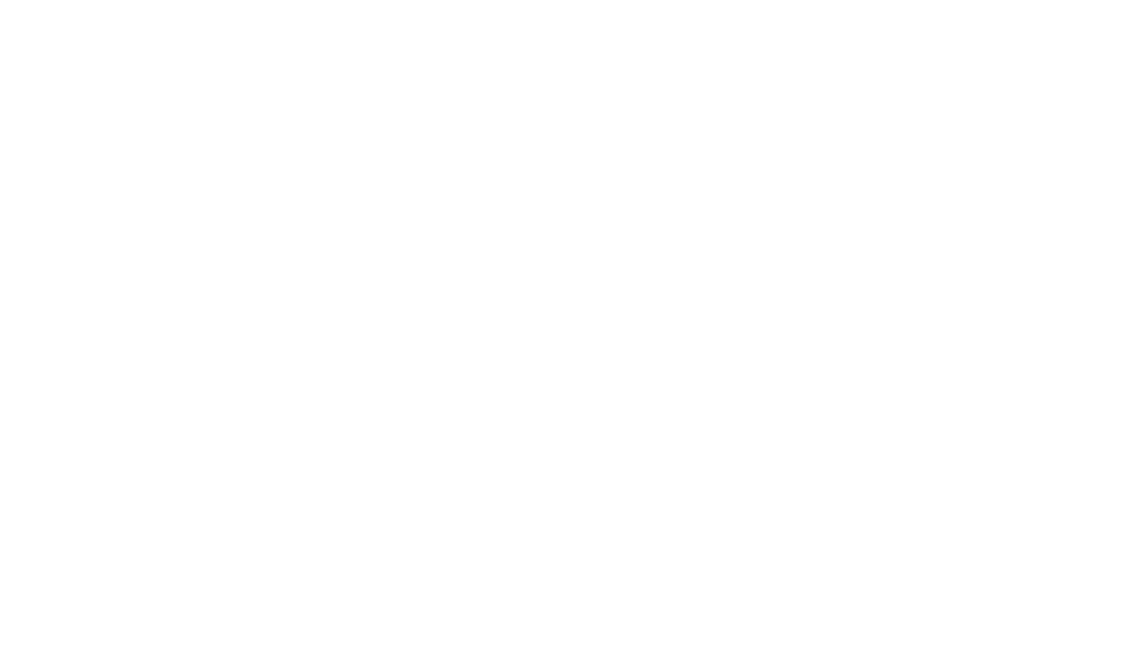 ProMusic_Logo_White2 Audio Noma